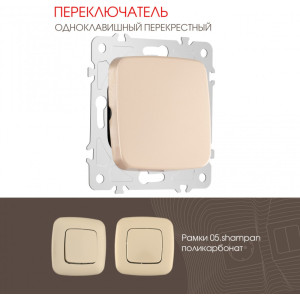 Переключатель am-205 205.34-1.shampan